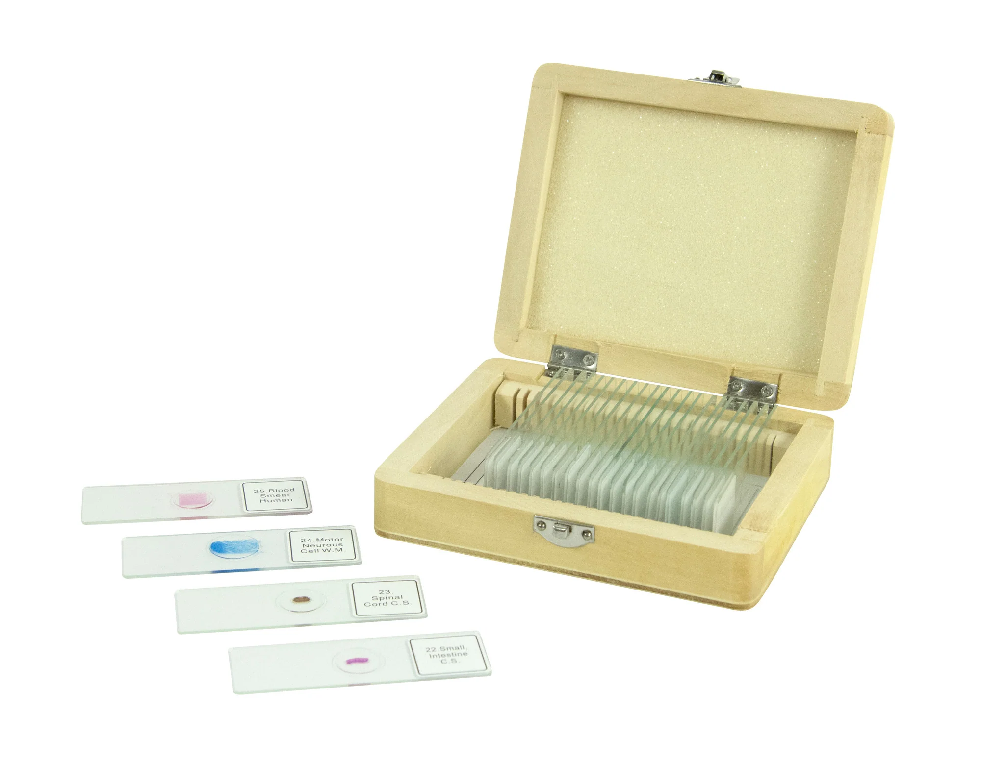 Celestron Prepared Slides with Case - 25 Pieces