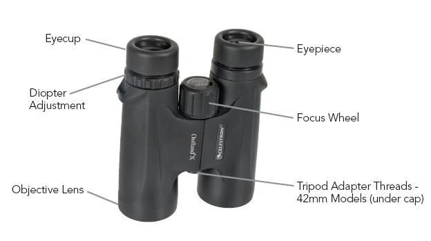 Celestron 10 x 25 Outland X Binoculars - Roof - Image 6